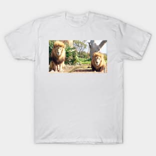 Lion Company T-Shirt